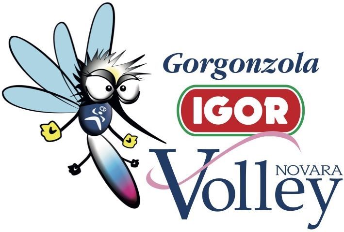 volley-femminile-agil-volley-logo-2